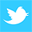Twitter Croatia VIP Services