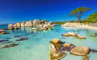 VIP transfer services in Porto-Vecchio