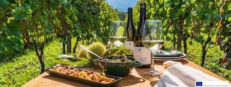 Sicily Food and Wine Helicopter Tour