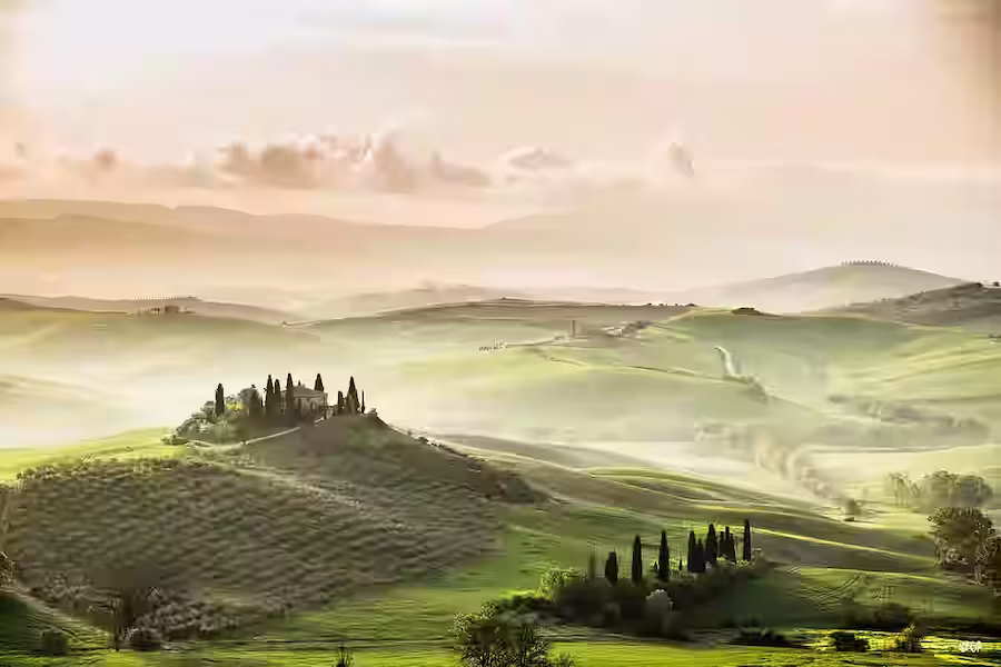 Wine & vineyards helicopter tour in Tuscany