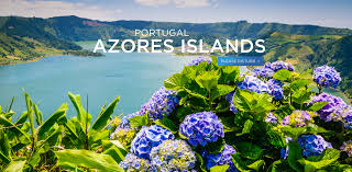 Azores VIP services