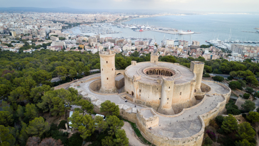 Palma de island